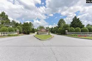 118 Whitton Ct, Lexington, SC 29073 - Photo 45