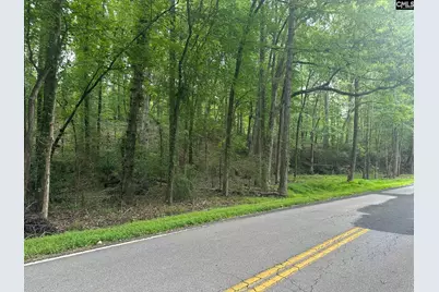 Mill Road, Little Mountain, SC 29075 - Photo 1