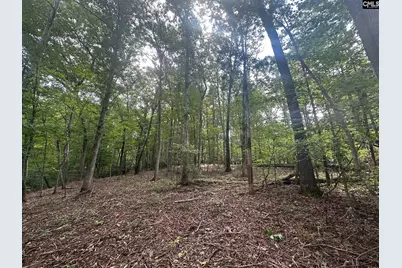 Mill Road, Little Mountain, SC 29075 - Photo 3
