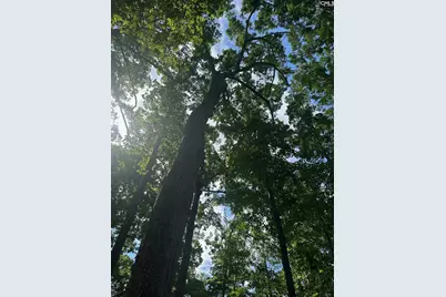 Mill Road, Little Mountain, SC 29075 - Photo 9