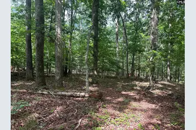 Mill Road, Little Mountain, SC 29075 - Photo 5