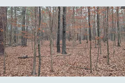 Lots B &amp; C Miller Road #B and C, Camden, SC 29020 - Photo 33