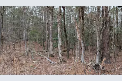 Lots B &amp; C Miller Road #B and C, Camden, SC 29020 - Photo 5