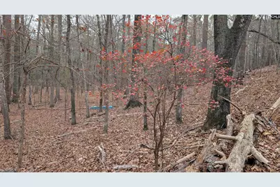 Lots B &amp; C Miller Road #B and C, Camden, SC 29020 - Photo 21