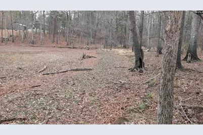Lots B &amp; C Miller Road #B and C, Camden, SC 29020 - Photo 29