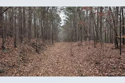 Lots B &amp; C Miller Road #B and C, Camden, SC 29020 - Photo 35