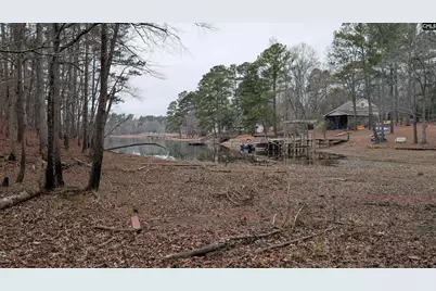 Lots B &amp; C Miller Road #B and C, Camden, SC 29020 - Photo 23