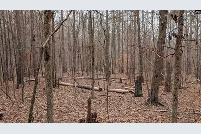 Lots B &amp; C Miller Road #B and C, Camden, SC 29020 - Photo 13