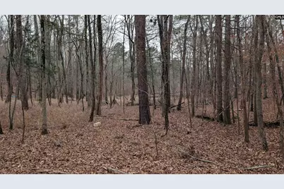 Lots B &amp; C Miller Road #B and C, Camden, SC 29020 - Photo 31