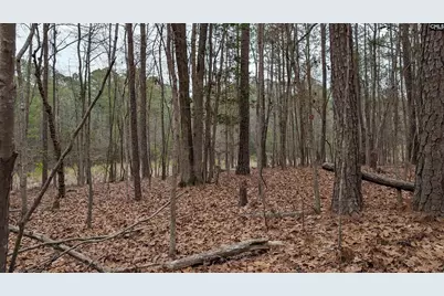 Lots B &amp; C Miller Road #B and C, Camden, SC 29020 - Photo 9