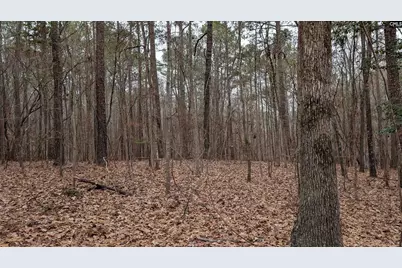 Lots B &amp; C Miller Road #B and C, Camden, SC 29020 - Photo 7