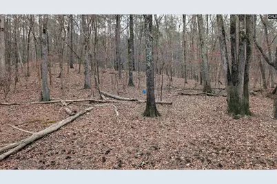 Lots B &amp; C Miller Road #B and C, Camden, SC 29020 - Photo 27