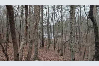 Lots B &amp; C Miller Road #B and C, Camden, SC 29020 - Photo 19