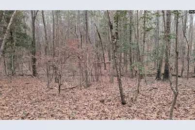 Lots B &amp; C Miller Road #B and C, Camden, SC 29020 - Photo 11