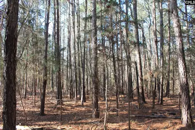 Utopia School Road, Leesville, SC 29070 - Photo 5