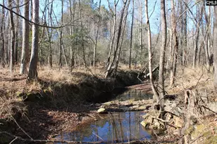 Utopia School Rd, Leesville, SC 29070 - Photo 1