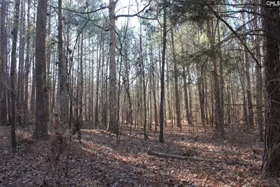 Utopia School Road, Leesville, SC 29070 - Photo 3