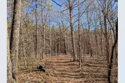 0 Smallwood Road, Ridgeway, SC 29130 - Photo 3