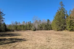 0 Smallwood Rd, Ridgeway, SC 29130 - Photo 1