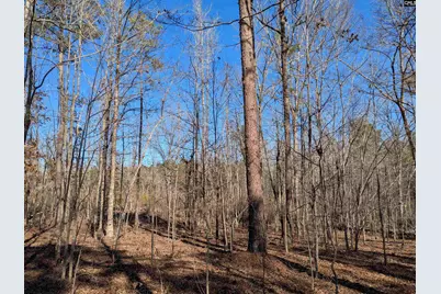 0 Smallwood Road, Ridgeway, SC 29130 - Photo 9