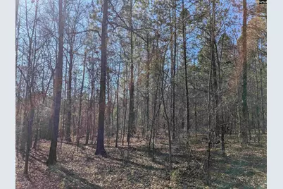0 Smallwood Road, Ridgeway, SC 29130 - Photo 13