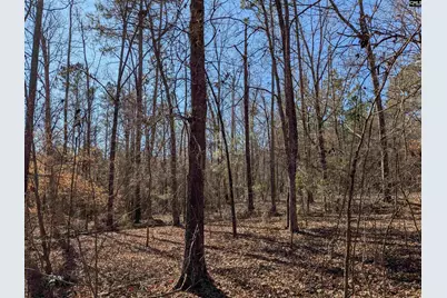 0 Smallwood Road, Ridgeway, SC 29130 - Photo 11