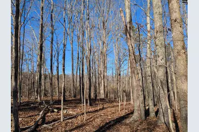 0 Smallwood Road, Ridgeway, SC 29130 - Photo 5