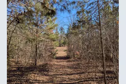 0 Smallwood Road, Ridgeway, SC 29130 - Photo 15