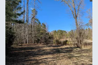 0 Smallwood Road, Ridgeway, SC 29130 - Photo 11