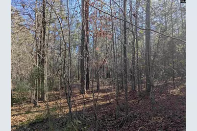 0 Smallwood Road, Ridgeway, SC 29130 - Photo 9