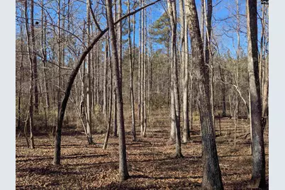 0 Smallwood Road, Ridgeway, SC 29130 - Photo 19