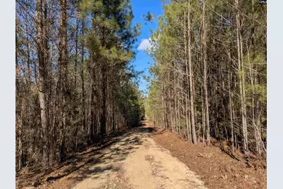 0 Smallwood Road, Ridgeway, SC 29130 - Photo 23