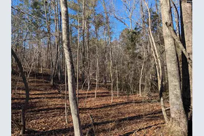 0 Smallwood Road, Ridgeway, SC 29130 - Photo 7