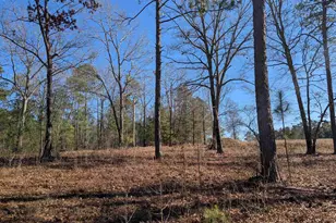 0 Smallwood Rd, Ridgeway, SC 29130 - Photo 1