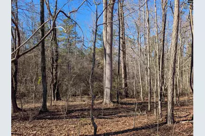 0 Smallwood Road, Ridgeway, SC 29130 - Photo 5