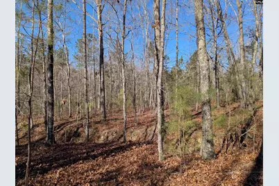 0 Smallwood Road, Ridgeway, SC 29130 - Photo 11