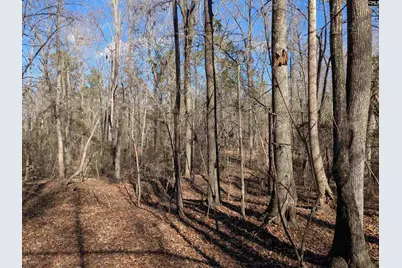 0 Smallwood Road, Ridgeway, SC 29130 - Photo 9