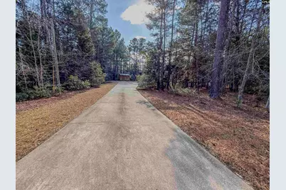 147 Stuck's Point, Chapin, SC 29036 - Photo 3