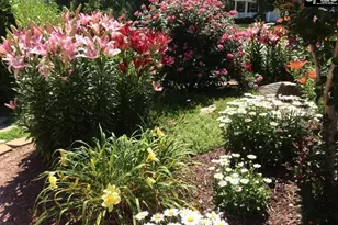 100 Pennbrook Ln, Irmo, SC 29063 - Photo 39