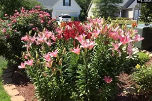 100 Pennbrook Ln, Irmo, SC 29063 - Photo 37