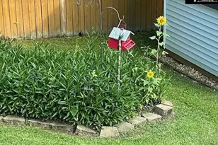 100 Pennbrook Ln, Irmo, SC 29063 - Photo 33