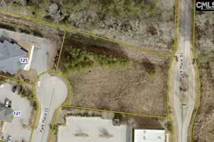 124 Park Pl Ct, Lexington, SC 29072 - Photo 1