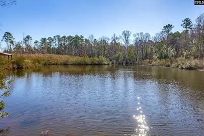 0501 Crooked Creek Road, Chapin, SC 29036 - Photo 19
