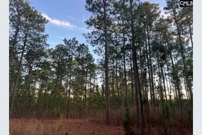 1420 Martin Smith Road, Gilbert, SC 29070 - Photo 5