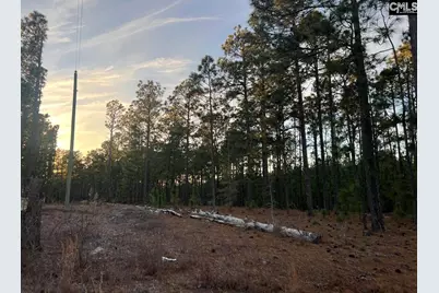 1420 Martin Smith Road, Gilbert, SC 29070 - Photo 9