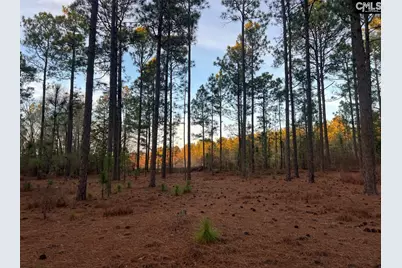 1420 Martin Smith Road, Gilbert, SC 29070 - Photo 3