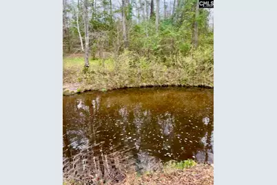 1717 Dixired Road, Leesville, SC 29070 - Photo 9