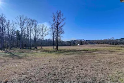1717 Dixired Road, Leesville, SC 29070 - Photo 11