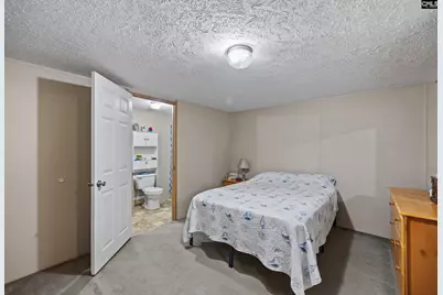 396 Volliedale Drive, Gilbert, SC 29054 - Photo 21