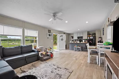 396 Volliedale Drive, Gilbert, SC 29054 - Photo 3